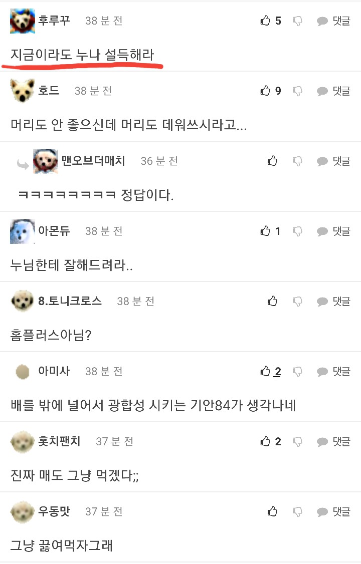 매형이 회를 사왔는데 | 인스티즈