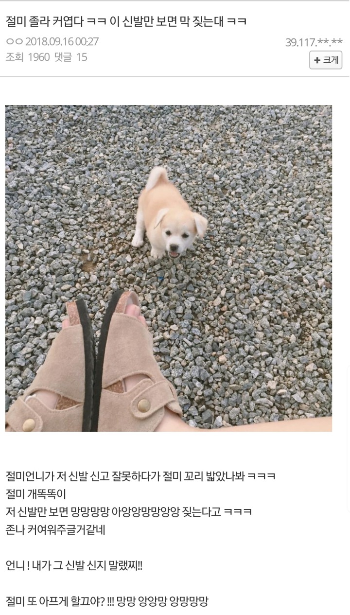 짱절미가 보면 짖는 물건.jpg | 인스티즈