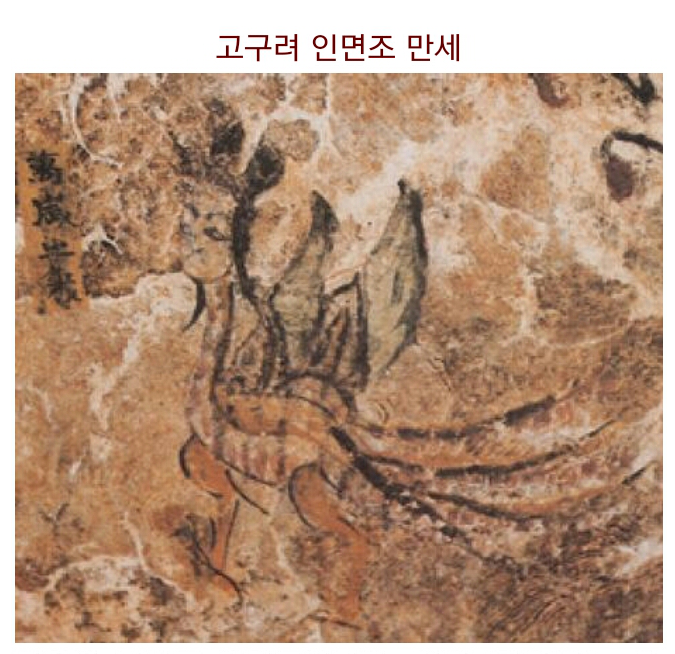 삼국의 인면조 | 인스티즈