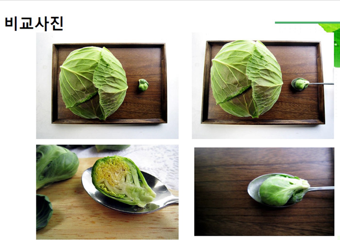 페마연 이미지