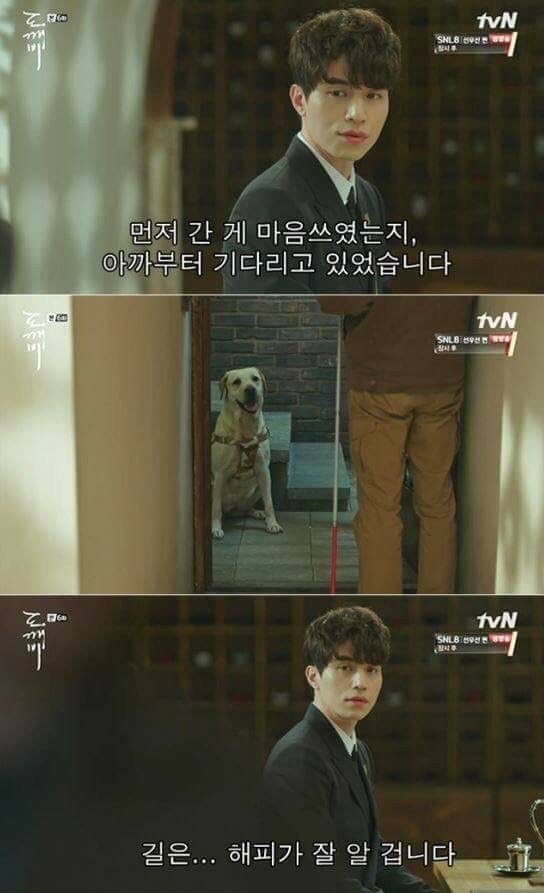 먼저 간 반려동물은 주인을 기다린다는 이야기 | 인스티즈