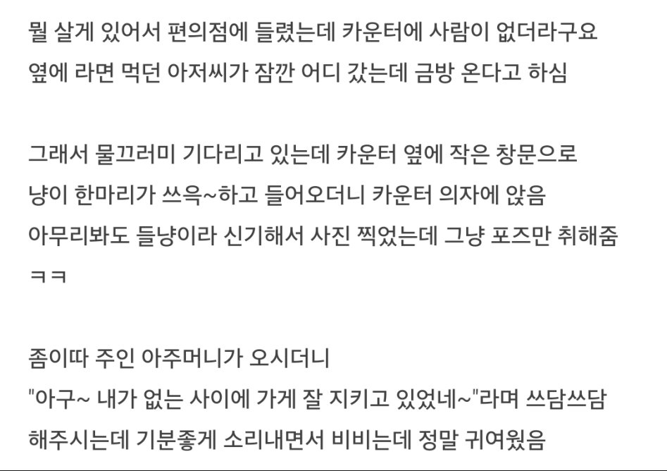 편의점 알바 냥이 | 인스티즈