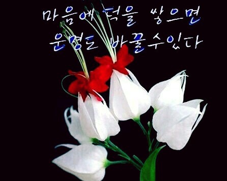 딩동딩동 이미지