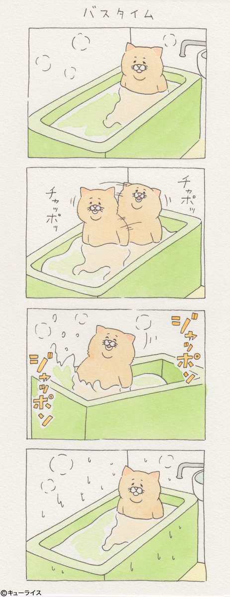 유감스러운 고양이 -2- | 인스티즈