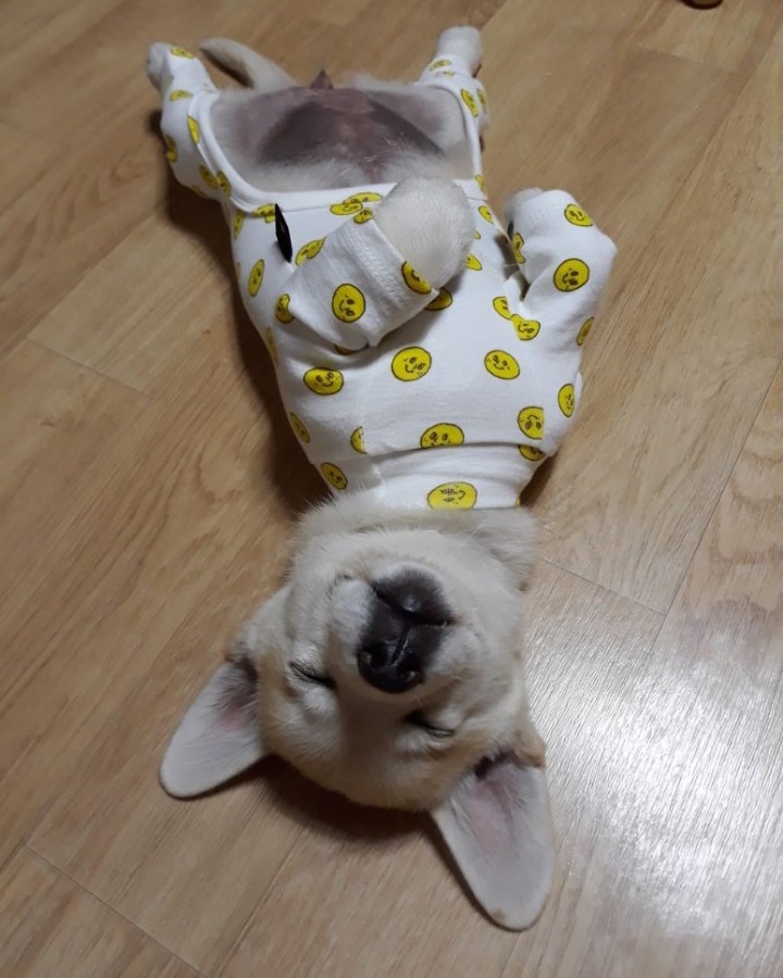 짱절미님 눈 좀 떠보세요 | 인스티즈