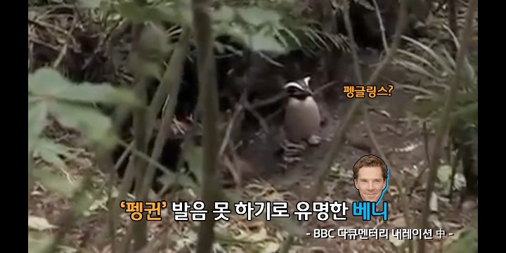 펭귄 발음 안 되는 베네딕트 컴버배치(닥터 스트레인지) | 인스티즈