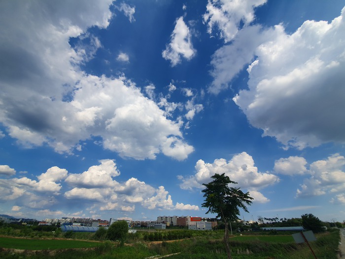 9995AE385D2704180D6DBF