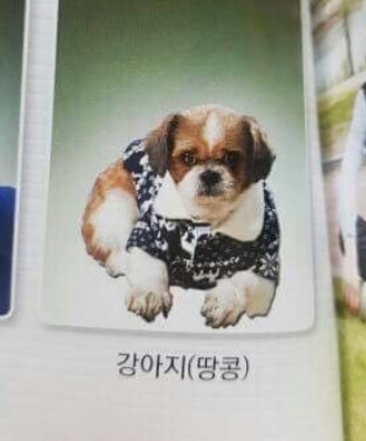 졸업사진 찍은 땅콩이 | 인스티즈
