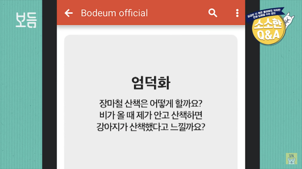 장마철에 강아지를 안고 산책하면 산책했다고 느끼나요?.jpg | 인스티즈