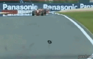 F1 드라이버의 반응속도 | 인스티즈
