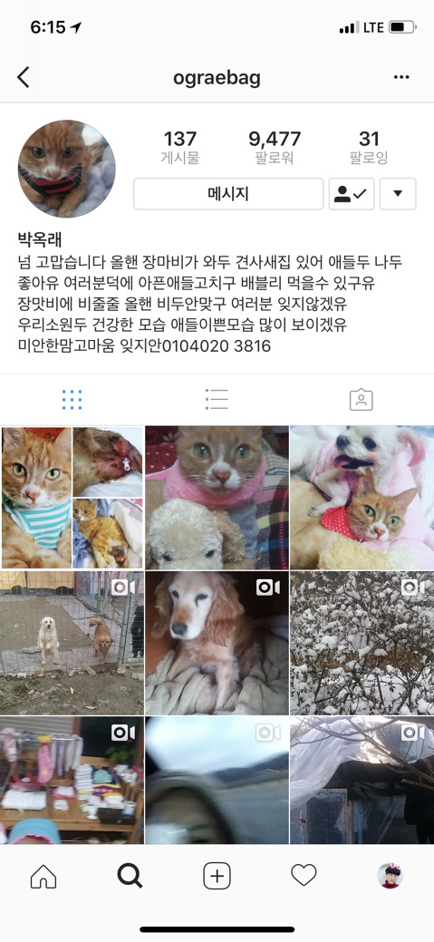 유기견에게 세상을 만들어줄 입양자를 찾고있어! | 인스티즈