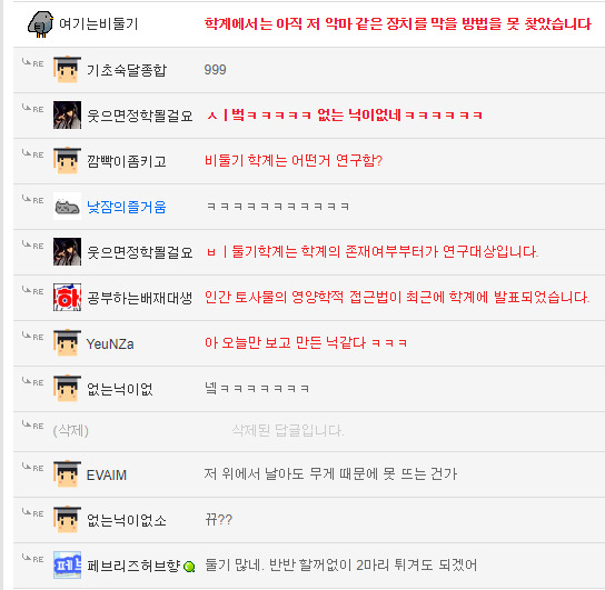 비둘기 수집기.gif | 인스티즈