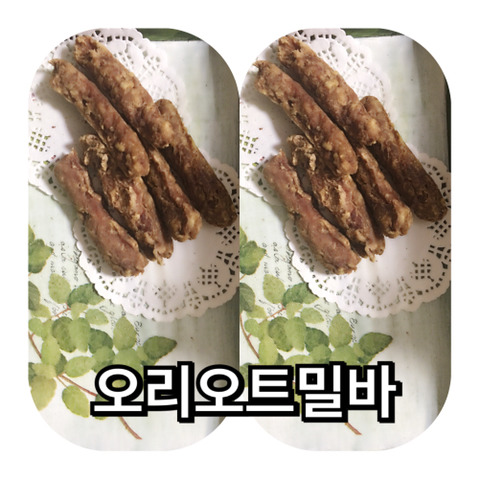 쫑아네 이미지