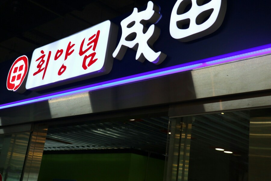 성전일식 이미지