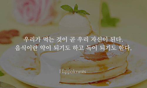 음식에 관한 명언들 | 인스티즈