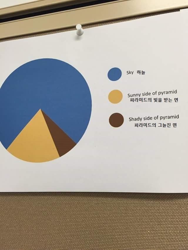 특이한 원형그래프 | 인스티즈