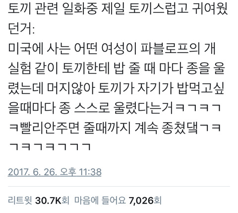 토끼와 개의 차이점 | 인스티즈