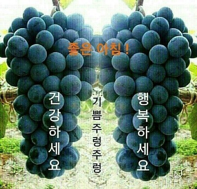 열돈이야기 이미지