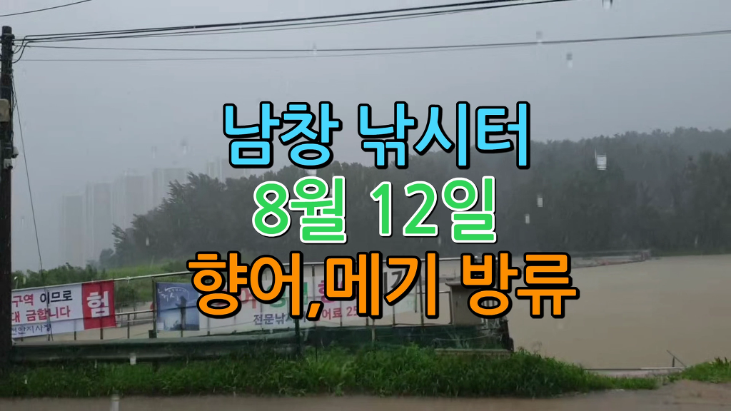 오늘은향어 이미지