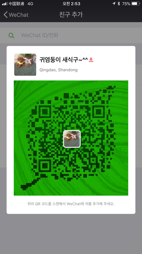 쫑아네 이미지