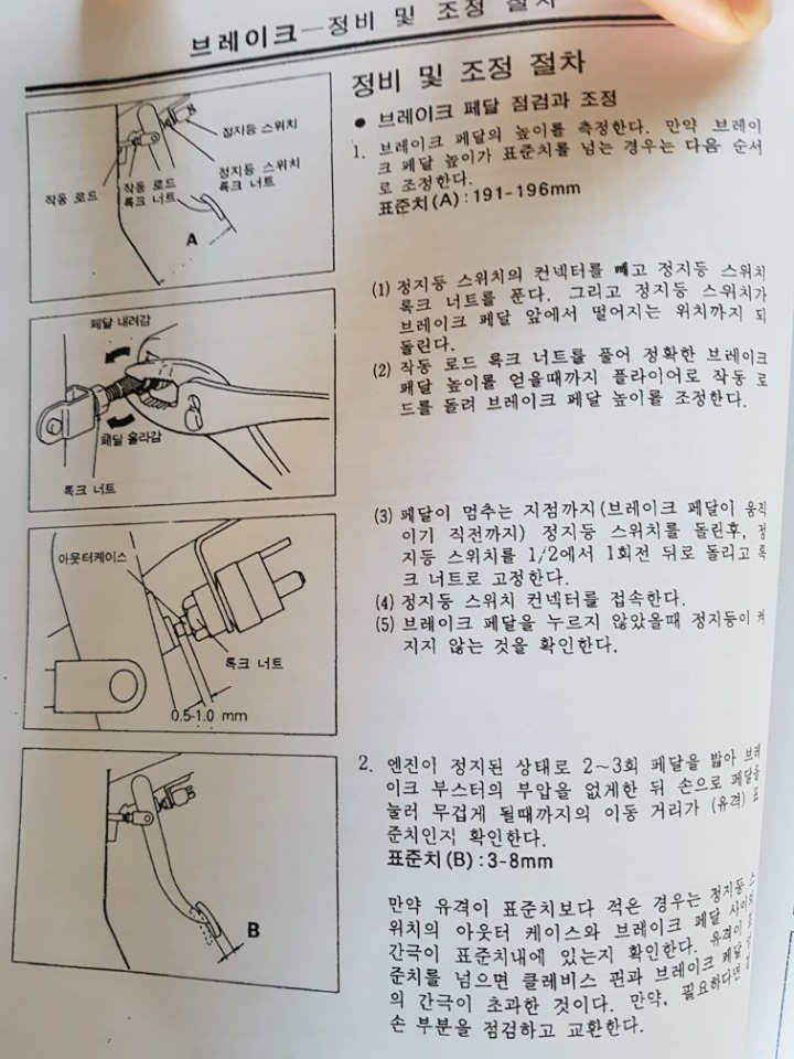 네바퀴카센타 이미지