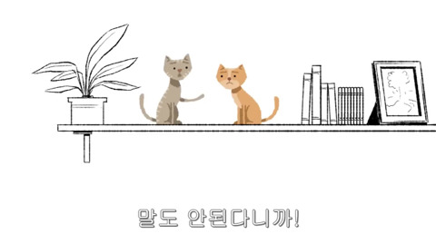 [동물] 고양이의 속마음 | 인스티즈