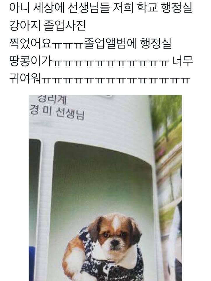 우리 학교 강아지 졸업사진에 실림ㅋㅋㅋㅋ | 인스티즈