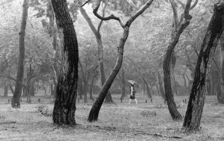 외국인이 촬영한 한국 풍경 | 인스티즈