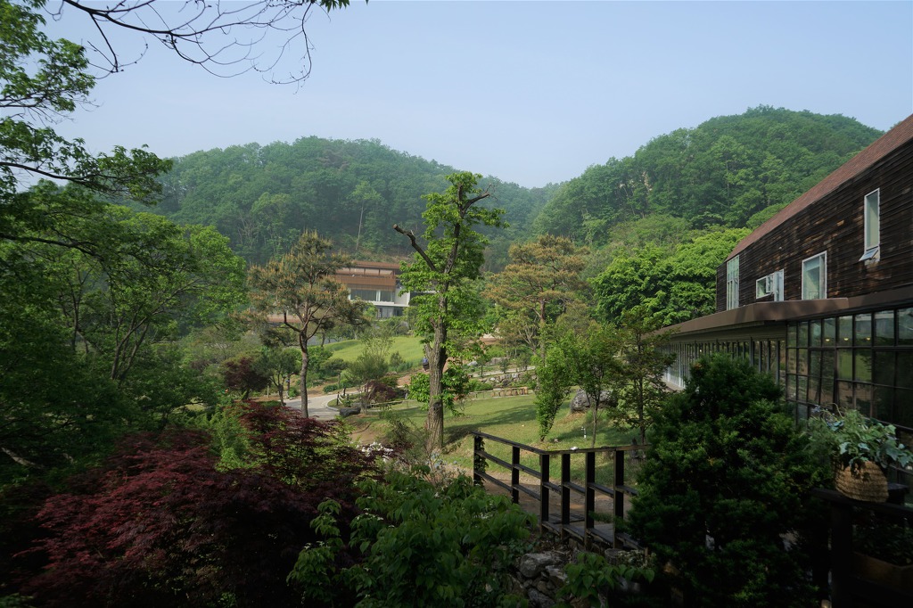 힐리언스 이미지