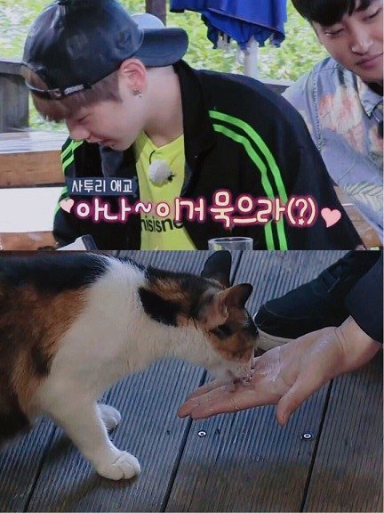 오늘도이불 이미지
