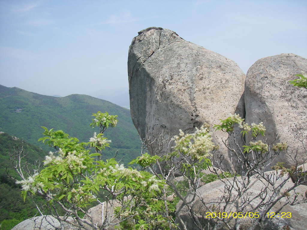 가고파노래연습장 이미지