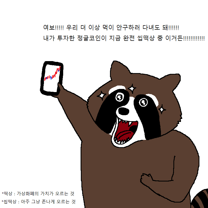 가상화폐 투자했다가 강제 존버하는 너구리 | 인스티즈