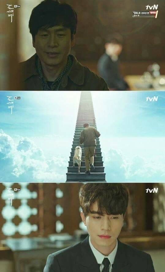 먼저 간 반려동물은 주인을 기다린다는 이야기 | 인스티즈