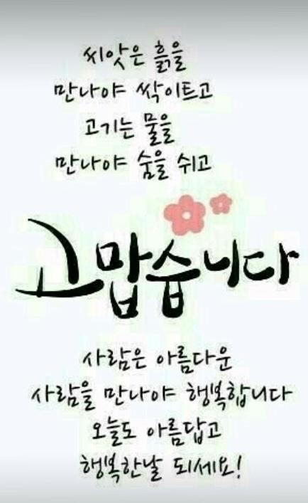 시골오리 이미지