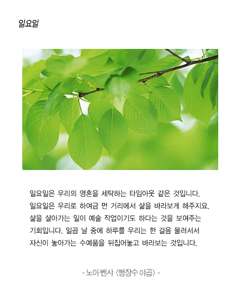 인연의향기 이미지