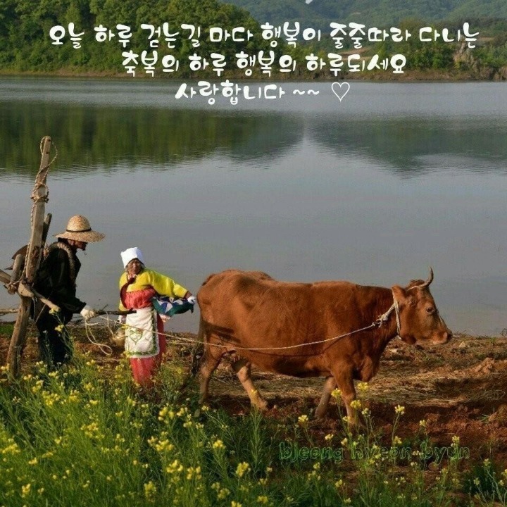 청원꽃식물원 이미지