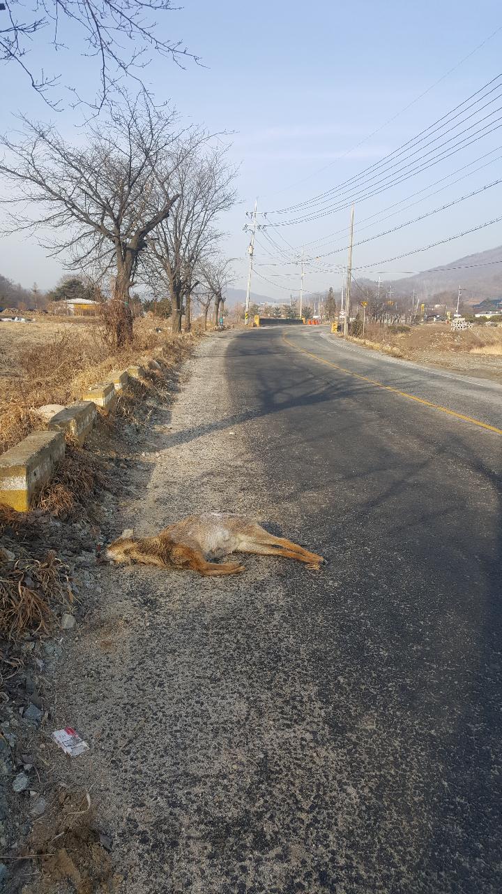 국원주유소 이미지