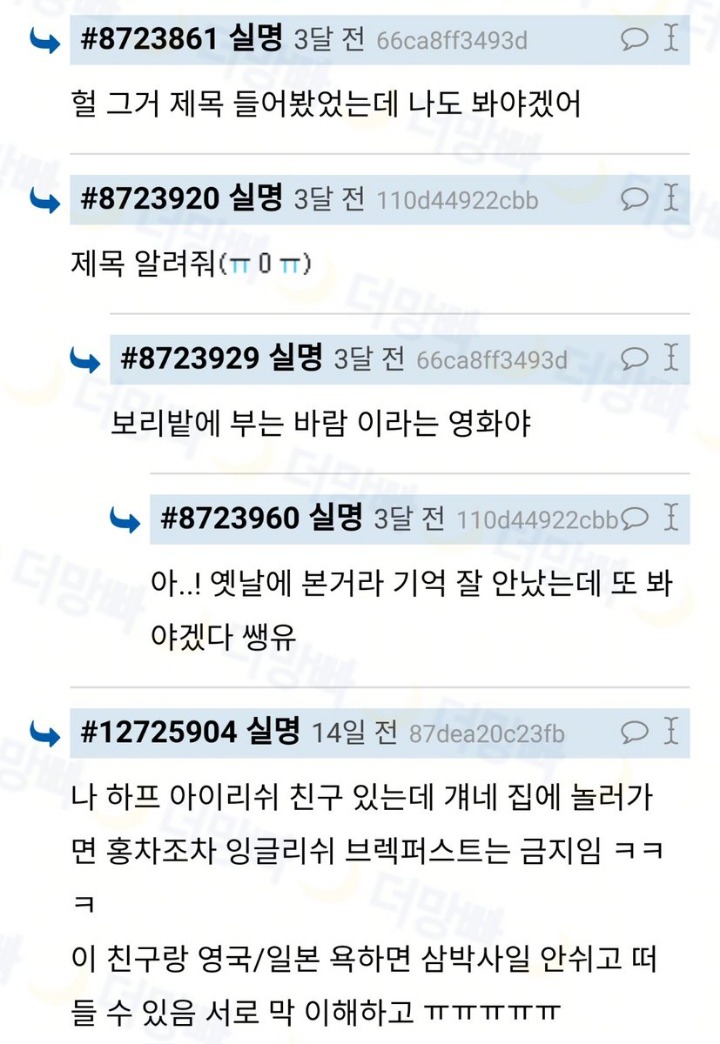 일본애들 해외 나와서 바보되는거 구경 꿀잼 | 인스티즈