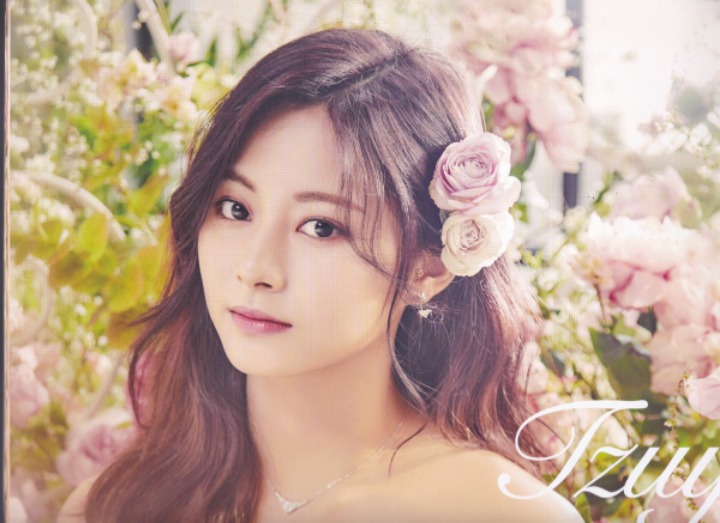 트와이스 9명 웨딩 드레스 (데이터 주의) | 인스티즈