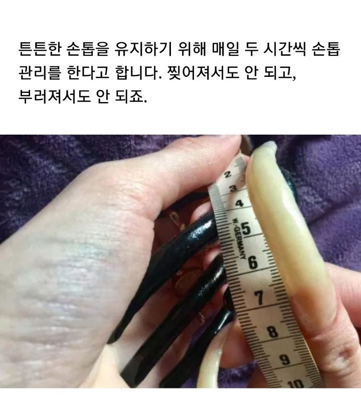 마녀손톱 이미지