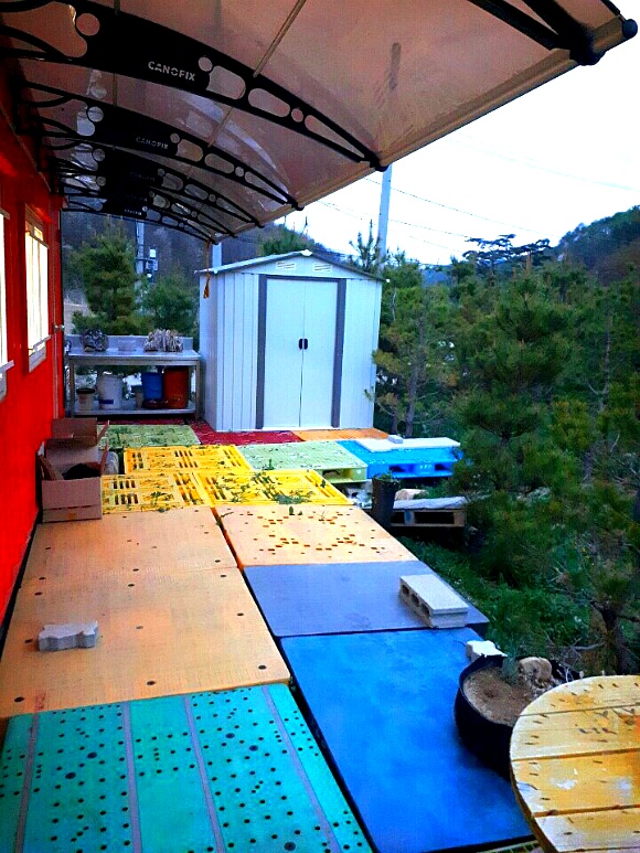 99E5E14E5CBD414D0D4B74