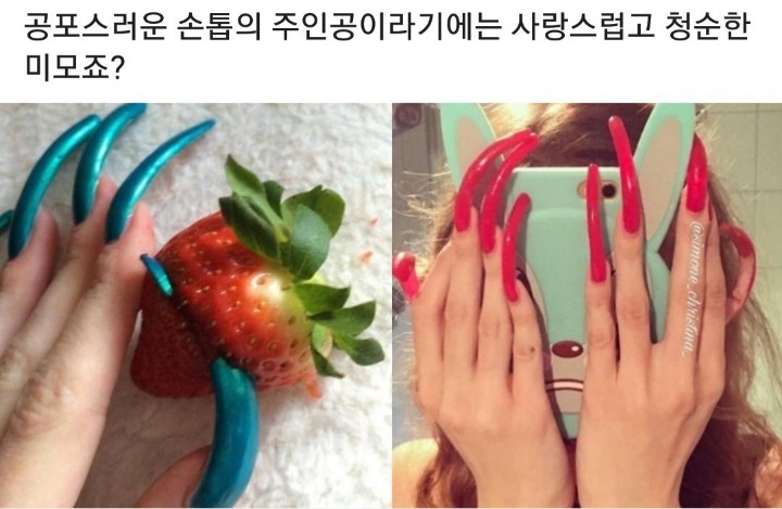 마녀손톱 이미지