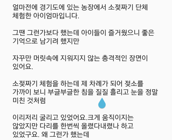 소젖짜기 체험에서 충격받은 아이엄마 | 인스티즈