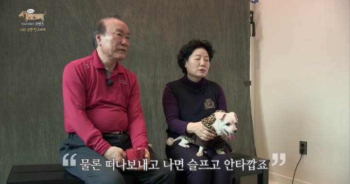 [세나개] 여러분에게 노견은 어떤 의미인가요? | 인스티즈