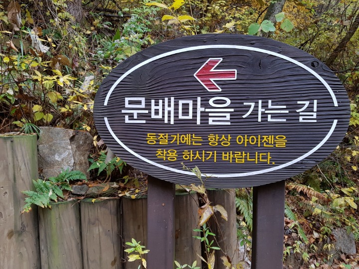 정담빈대떡 이미지