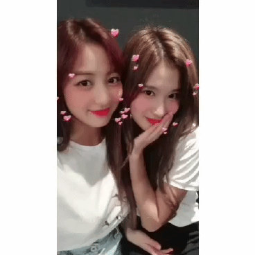 트와이스 정연,사나,지효 인스타그램 ㄷㄷ | 인스티즈