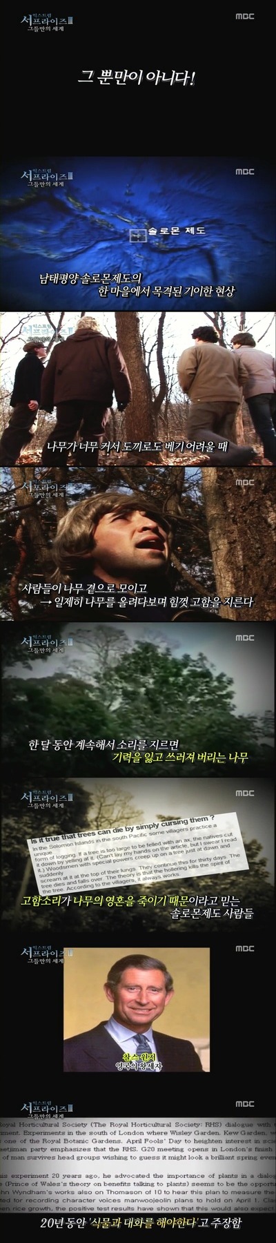  살인사건의 유일한 목격자인 식물 | 인스티즈
